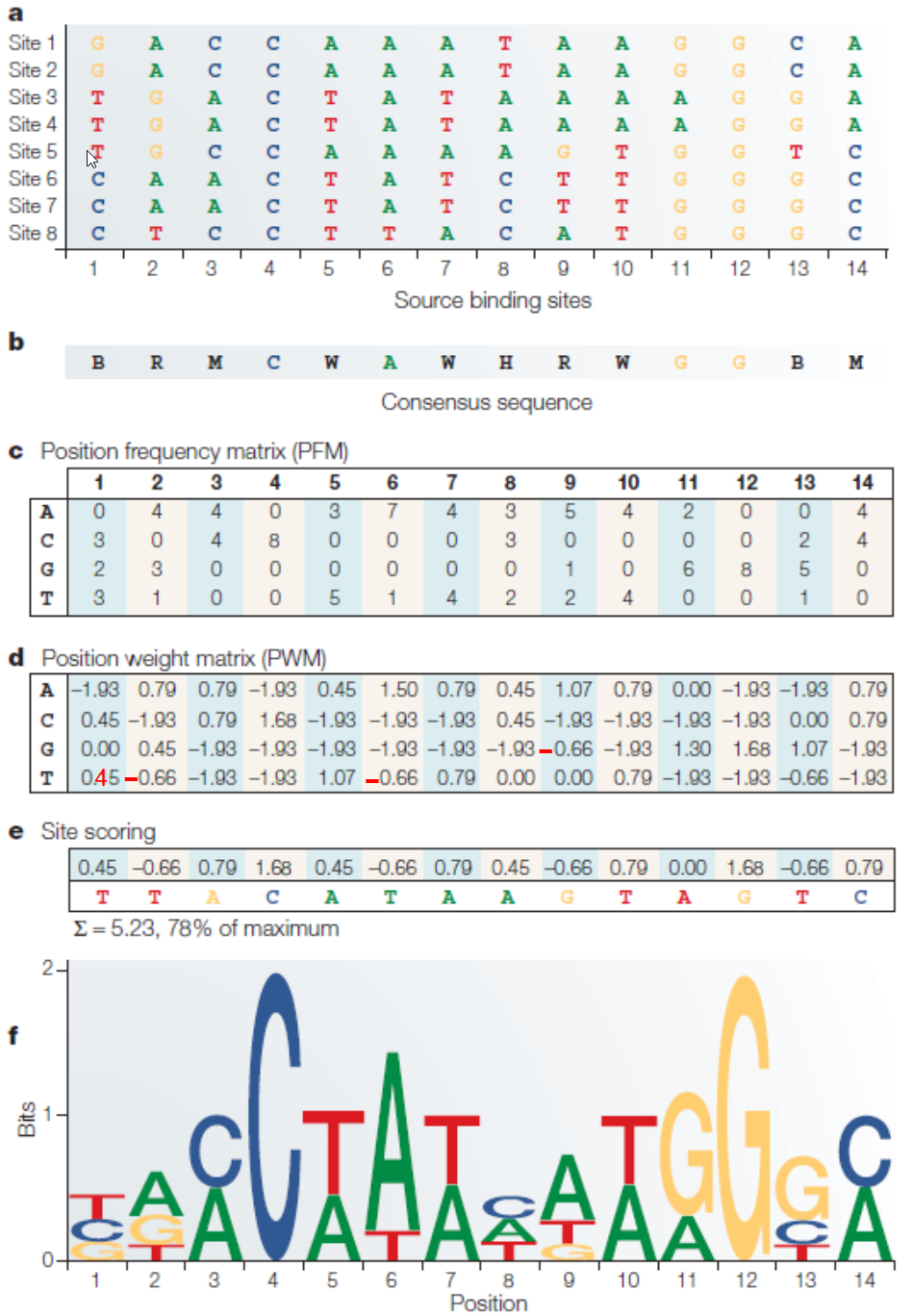 Box 1 of Wasserman and Sandelin, Nature Review Genetics, 2004, with
typos in panel D fixed (texts in red).